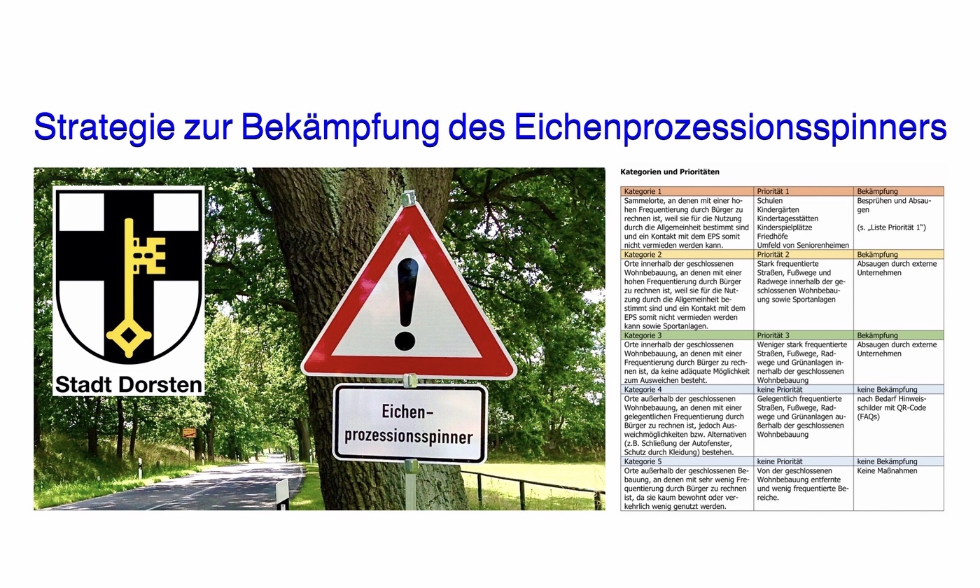 Eichen-Prozessionsspinner: Stadt Dorsten setzt Strategie zur Bekämpfung der EPS-Raupen um