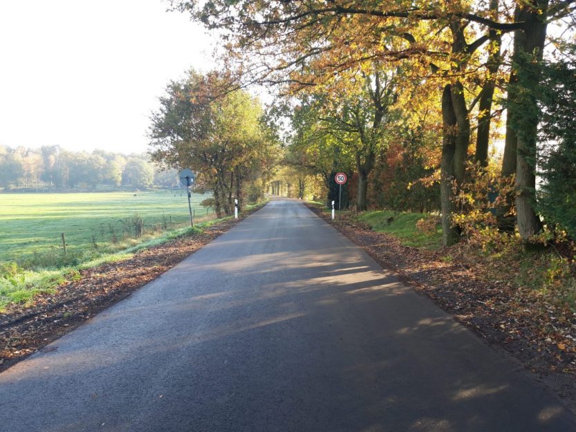 Dorsten Artikel-Bild
