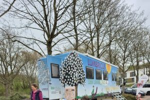 Mind the Earth Lumbricus center top