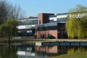 AAV Bibi 1 center top