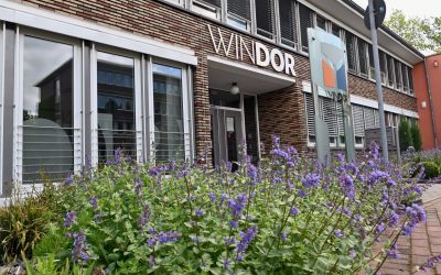 Windor