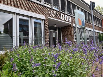 Windor center top