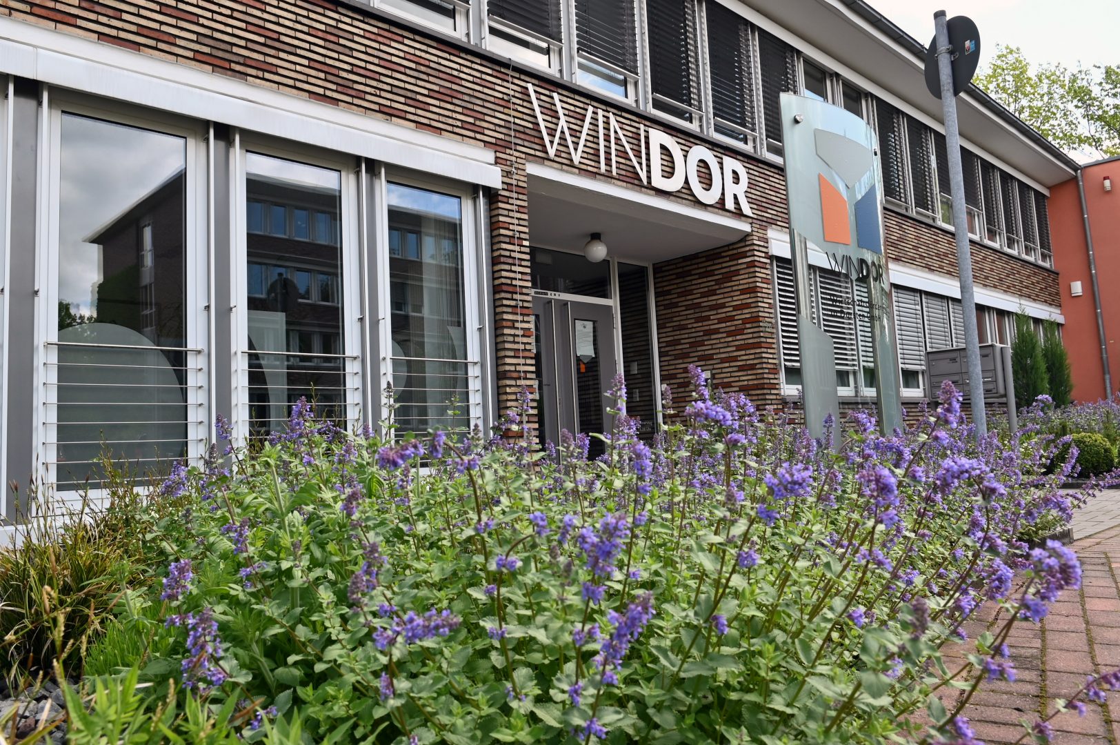 Windor
