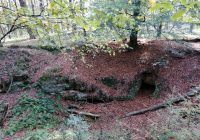 Foto 1 Brotmannshoehle Hessbruegge center top