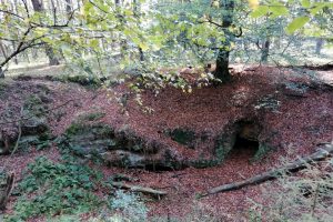 Foto 1 Brotmannshoehle Hessbruegge center top