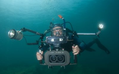 2026 02 12 Referentenportrait unterwasser center top