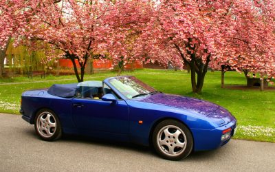 Springtime Classic Titel1 center top