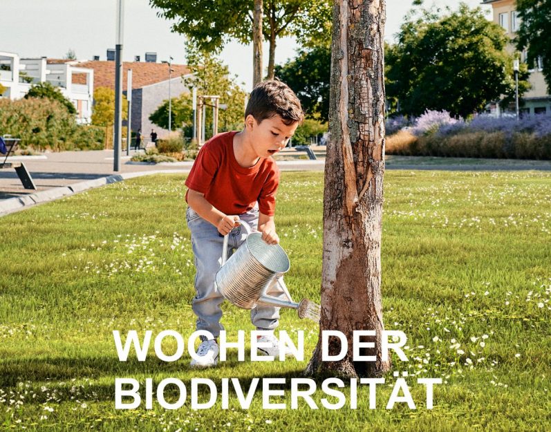 Dorsten Artikel-Bild